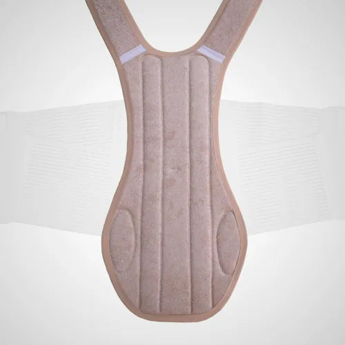 Dls230 Soporte Dorsal