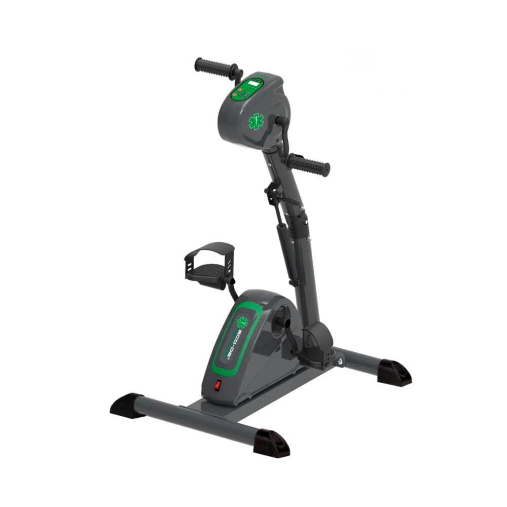Pedalier Doble Electrico