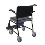 Silla con Inodoro y Ruedas